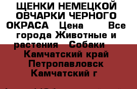 ЩЕНКИ НЕМЕЦКОЙ ОВЧАРКИ ЧЕРНОГО ОКРАСА › Цена ­ 1 - Все города Животные и растения » Собаки   . Камчатский край,Петропавловск-Камчатский г.